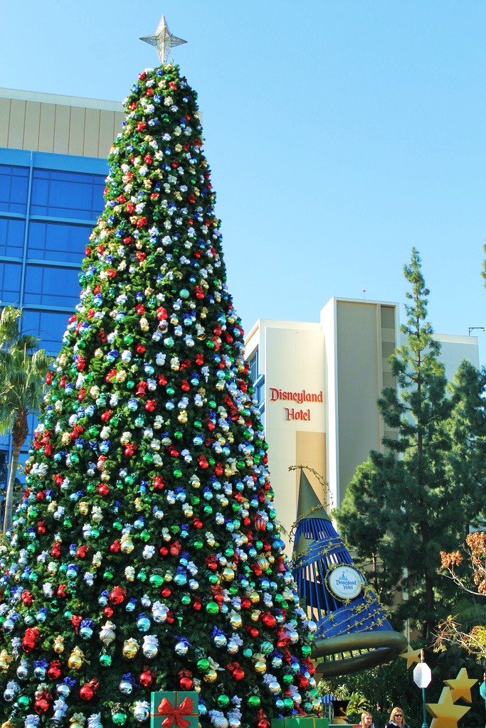 The happiest, tallest, prettiest, most festive Christmas trees on Earth are at Disneyland! Photo: Loren Javier 